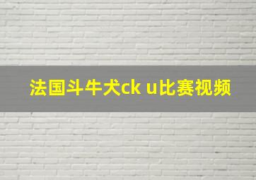 法国斗牛犬ck u比赛视频